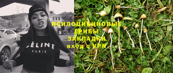 PSILOCYBIN Переславль-Залесский