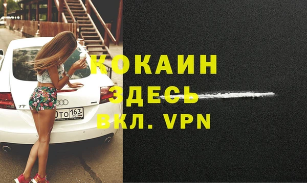 прущие грибы Пересвет