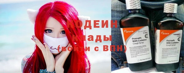 прущие грибы Пестово