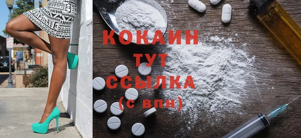 прущие грибы Пересвет