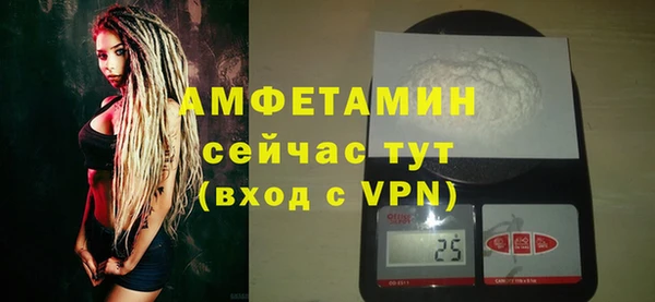 прущие грибы Пересвет
