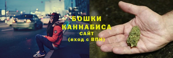PSILOCYBIN Переславль-Залесский