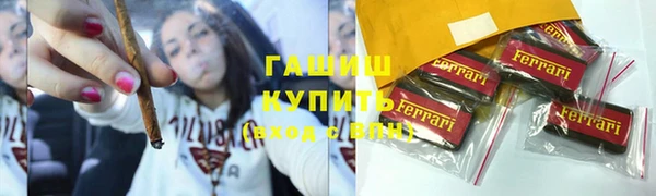 прущие грибы Пересвет