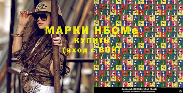 прущие грибы Пестово