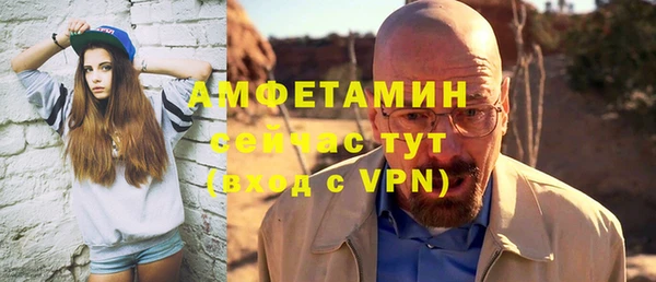 прущие грибы Пересвет