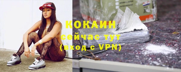 прущие грибы Пестово