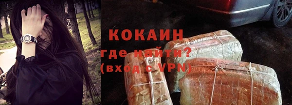 прущие грибы Пестово