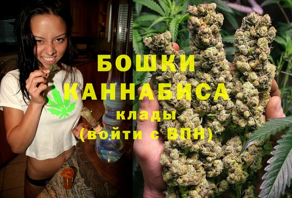 PSILOCYBIN Переславль-Залесский