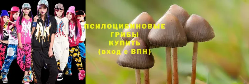 ссылка на мегу рабочий сайт  закладка  Биробиджан  Псилоцибиновые грибы Magic Shrooms 