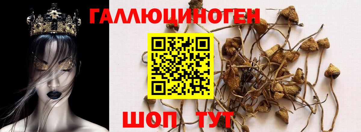 Псилоцибиновые грибы Magic Shrooms  сколько стоит  Галлюциногенные грибы мухоморы  Биробиджан  Вход с VPN 