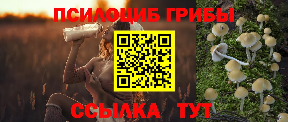 закладка  Биробиджан  Псилоцибиновые грибы мухоморы 